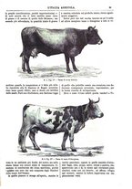 giornale/TO00014384/1884/v.16/00000029