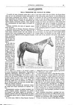 giornale/TO00014384/1884/v.16/00000073