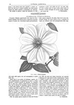 giornale/TO00014384/1885/v.17/00000080