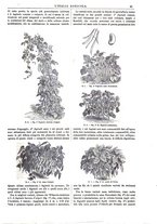 giornale/TO00014384/1886/v.18/00000029