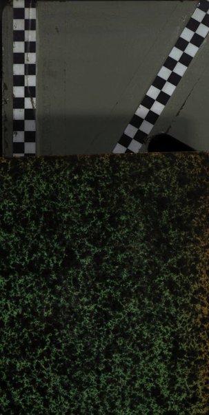 L'Italia agricola giornale dedicato al miglioramento morale ed economico delle popolazioni rurali