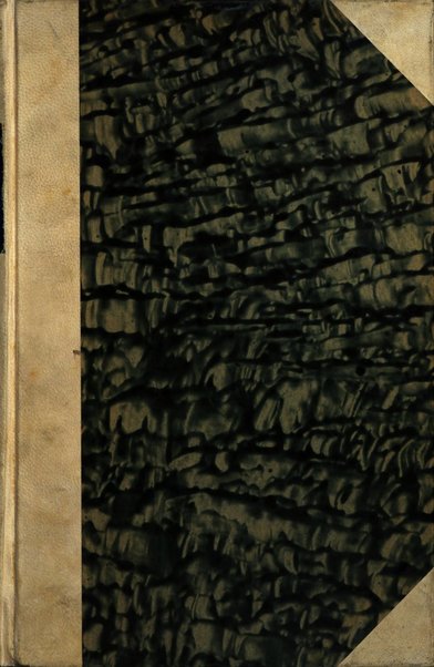 Minerva medica gazzetta per il medico pratico