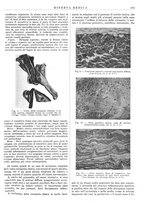 giornale/TO00014601/1937/v.28.2/00000607