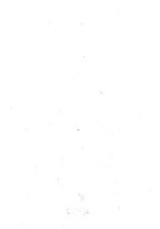 giornale/TO00014601/1938/v.29.2/00000021