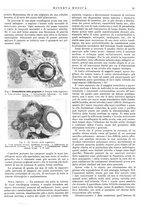 giornale/TO00014601/1939/v.30.2/00000085