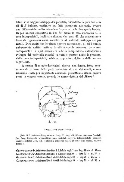 Monitore zoologico italiano