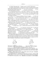 giornale/TO00014635/1894/unico/00000206