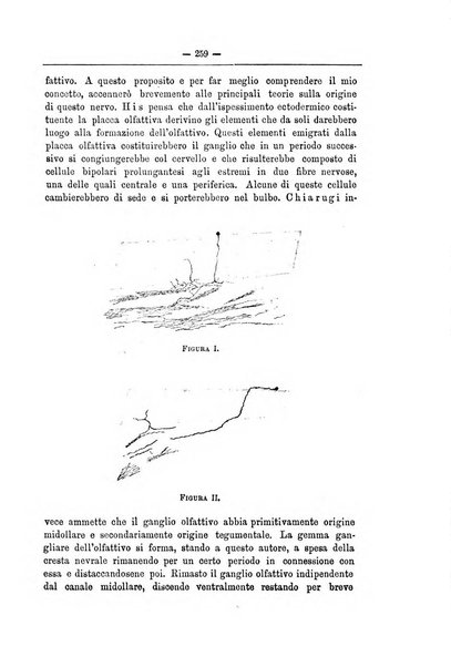 Monitore zoologico italiano