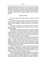 giornale/TO00014635/1896/unico/00000162