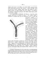 giornale/TO00014635/1897/unico/00000110