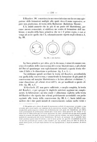 Monitore zoologico italiano