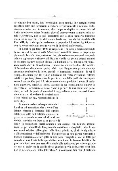 Monitore zoologico italiano