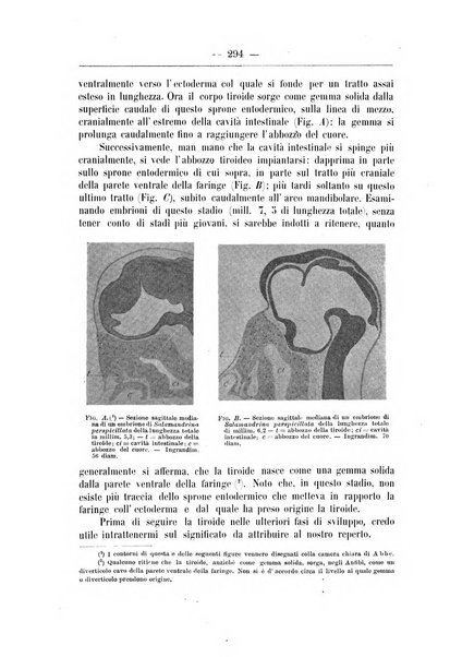 Monitore zoologico italiano