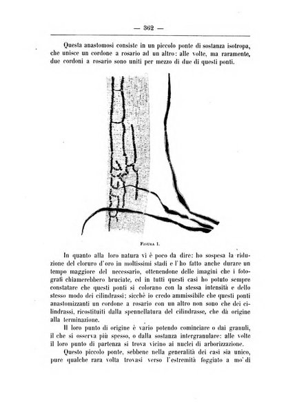 Monitore zoologico italiano