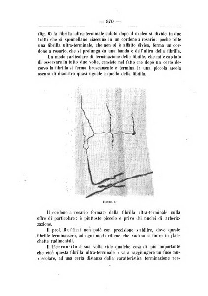 Monitore zoologico italiano