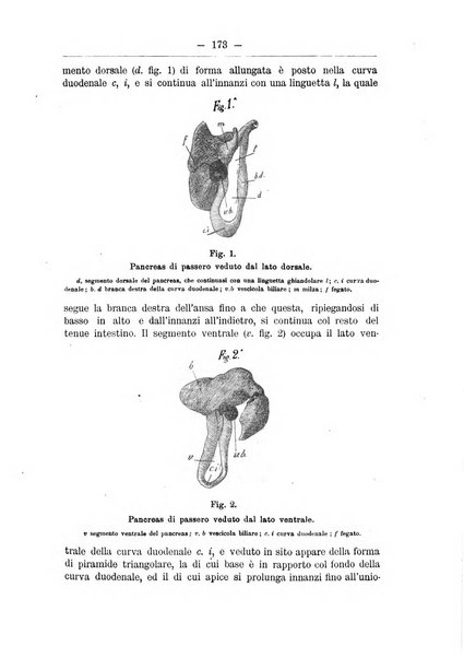 Monitore zoologico italiano