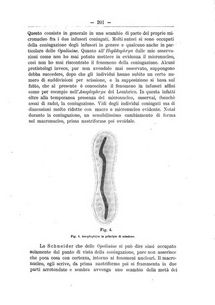 Monitore zoologico italiano