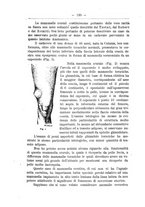 giornale/TO00014635/1901-1903/unico/00000342