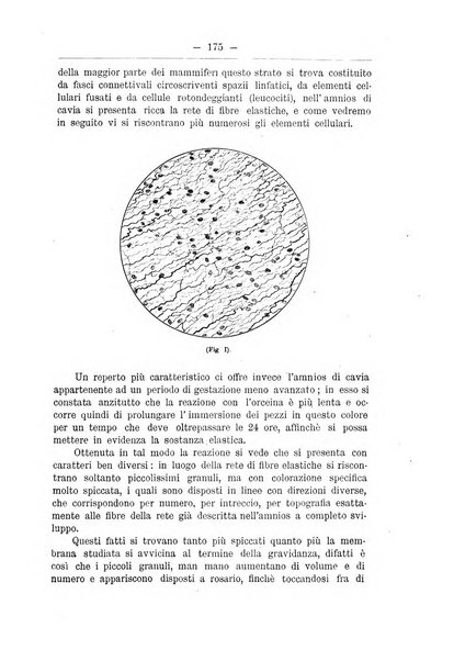 Monitore zoologico italiano