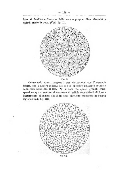 Monitore zoologico italiano