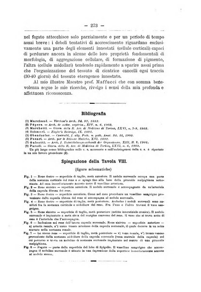 Monitore zoologico italiano