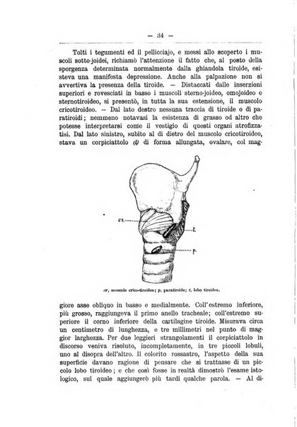 Monitore zoologico italiano