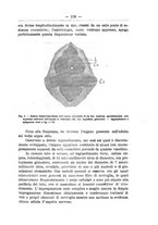 giornale/TO00014635/1904/unico/00000127