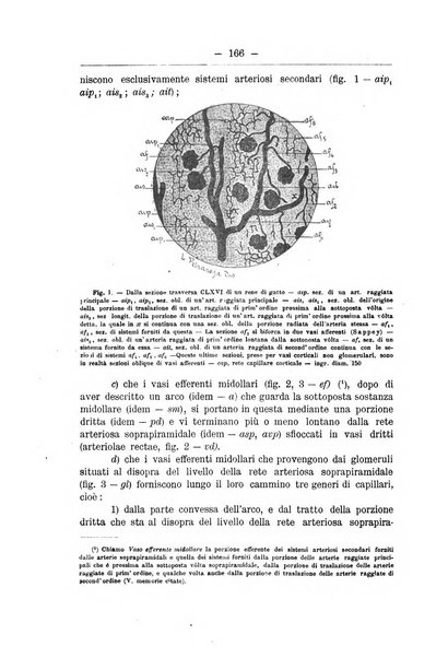 Monitore zoologico italiano