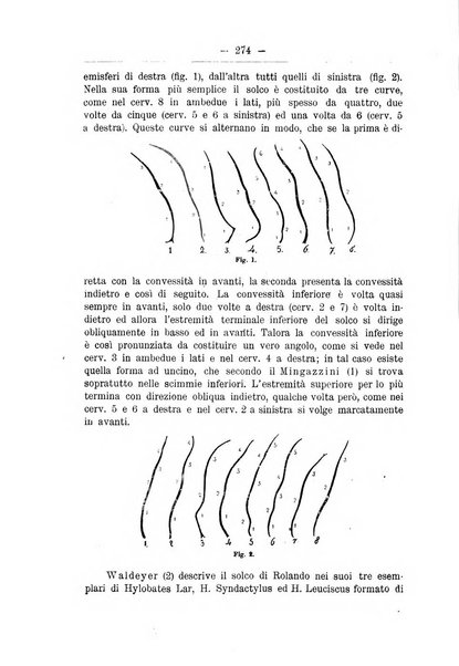 Monitore zoologico italiano