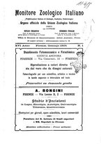 giornale/TO00014635/1905-1906/unico/00000005