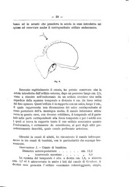 Monitore zoologico italiano