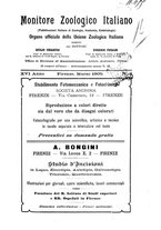 giornale/TO00014635/1905-1906/unico/00000069