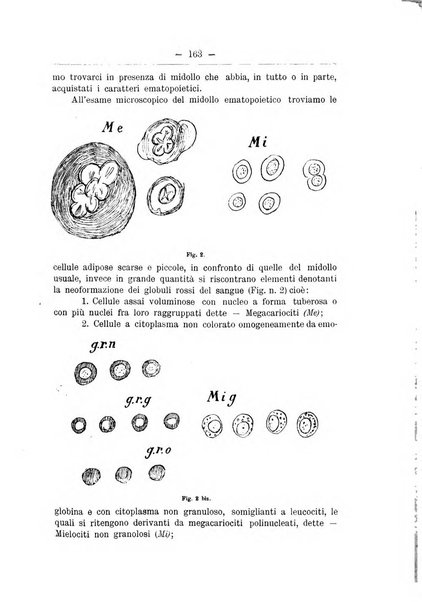 Monitore zoologico italiano