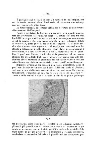 Monitore zoologico italiano