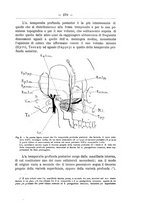 giornale/TO00014635/1905-1906/unico/00000317