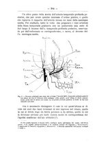 giornale/TO00014635/1905-1906/unico/00000322