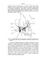 giornale/TO00014635/1905-1906/unico/00000326