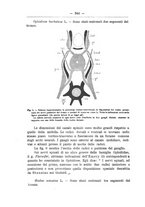 giornale/TO00014635/1905-1906/unico/00000390