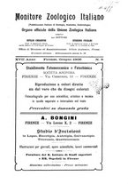 giornale/TO00014635/1905-1906/unico/00000489