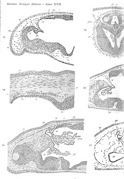 Monitore zoologico italiano