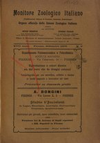 giornale/TO00014635/1905-1906/unico/00000561
