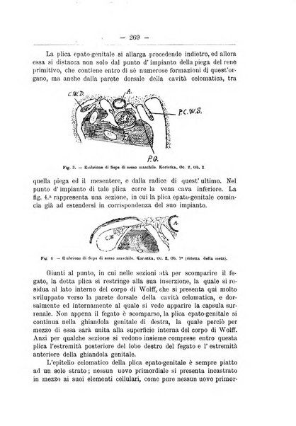 Monitore zoologico italiano