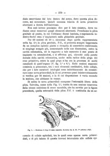 Monitore zoologico italiano