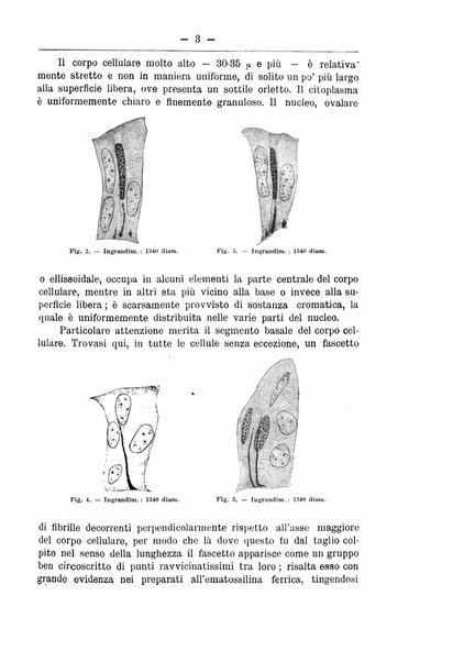 Monitore zoologico italiano