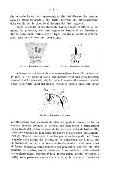 Monitore zoologico italiano