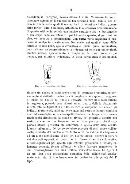 Monitore zoologico italiano