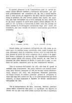 giornale/TO00014635/1912/unico/00000021