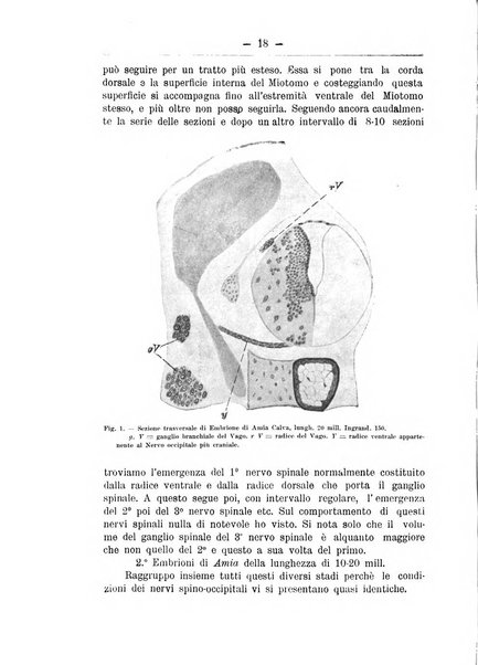 Monitore zoologico italiano