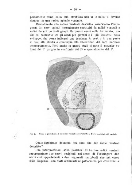 Monitore zoologico italiano