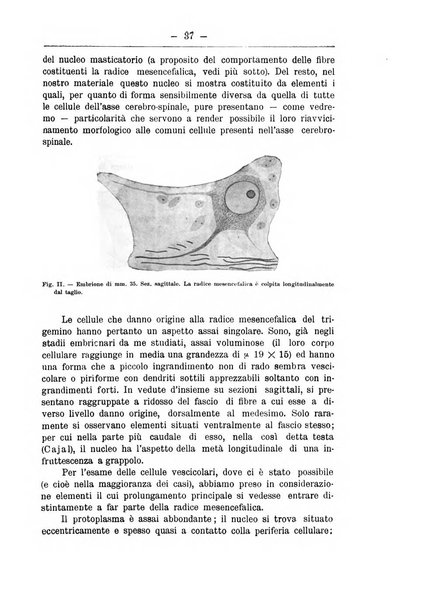 Monitore zoologico italiano